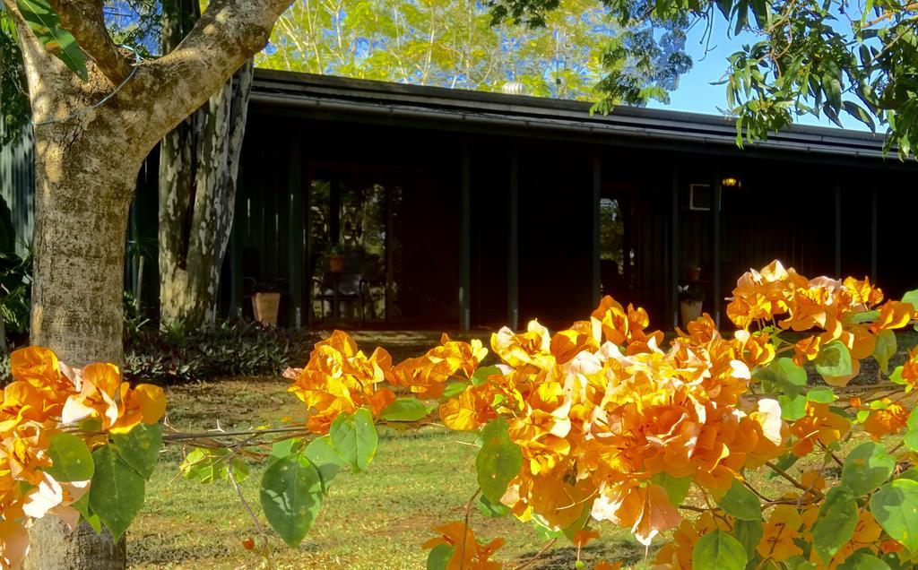 Lagoon Pocket Bed & Breakfast ภายนอก รูปภาพ