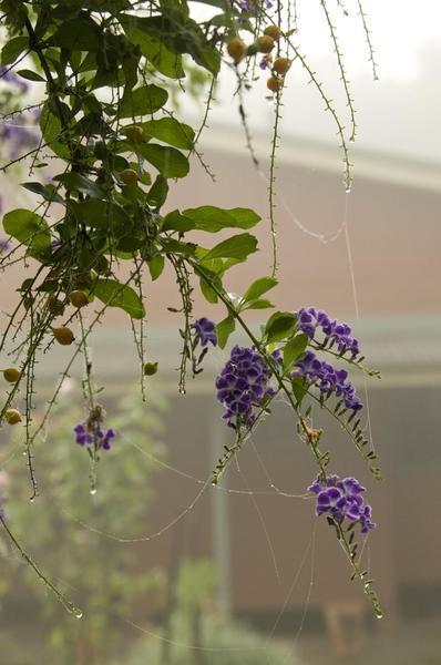 Lagoon Pocket Bed & Breakfast ภายนอก รูปภาพ