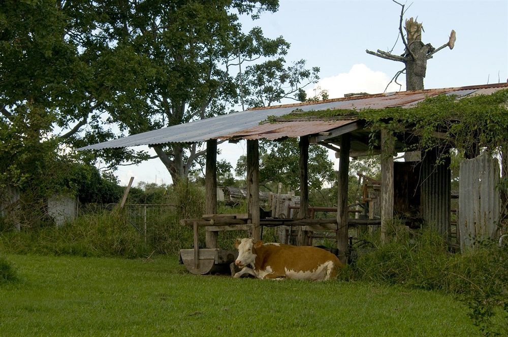 Lagoon Pocket Bed & Breakfast ภายนอก รูปภาพ