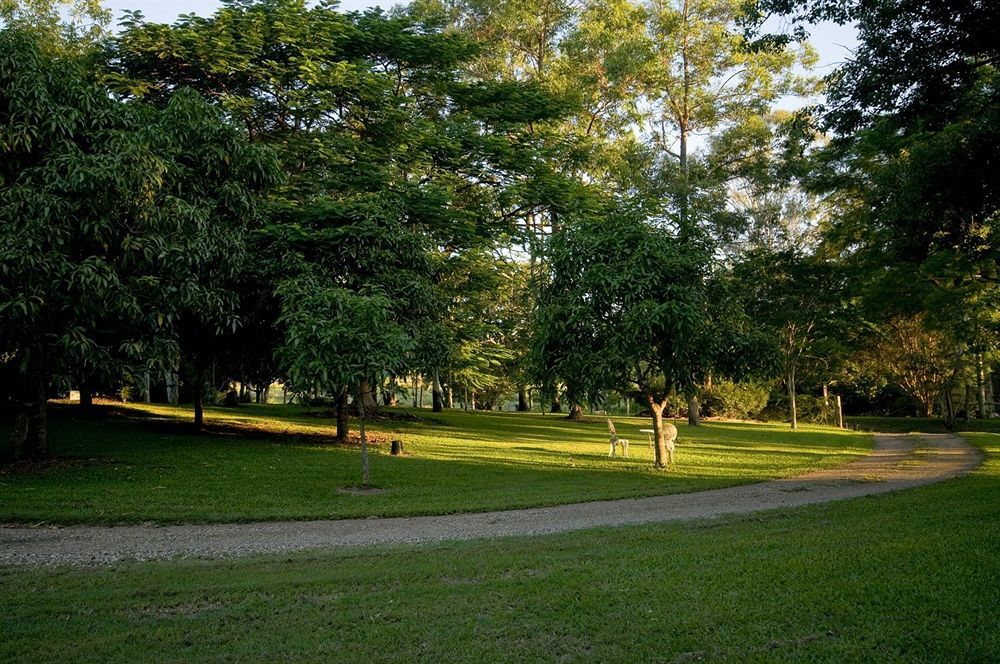 Lagoon Pocket Bed & Breakfast ภายนอก รูปภาพ